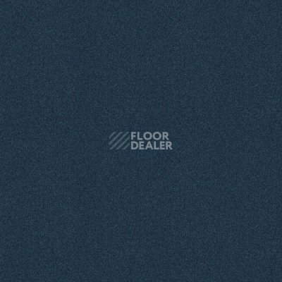Ковровая плитка Forbo Tessera basis pro 4352 Navy фото 1 | FLOORDEALER
