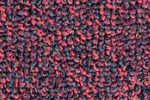 Ковролин Balsan Centaure Deco 598 фото  | FLOORDEALER