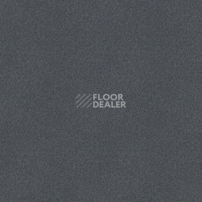 Ковровая плитка Forbo Tessera basis pro 4208 Dusk фото 1 | FLOORDEALER
