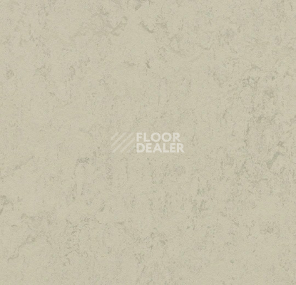 Линолеум Forbo Marmoleum Solid Concrete 3757 Pluto фото 1 | FLOORDEALER