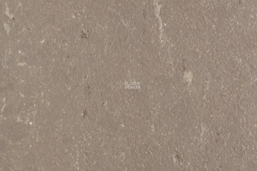 Forbo Marmoleum Solid Piano 3631-363135 otter фото 2 | FLOORDEALER