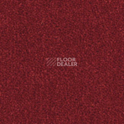 Ковролин Balsan Majestic 585 фото 1 | FLOORDEALER