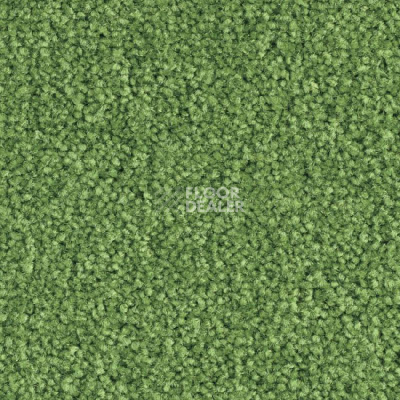 Ковровая плитка Balsan Bolero 244 фото 1 | FLOORDEALER