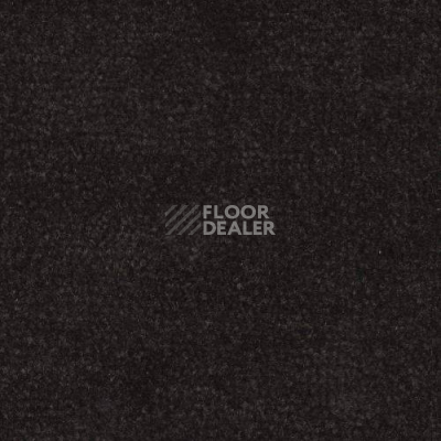 Ковролин Дюна Тафт Venetto 874 фото 1 | FLOORDEALER