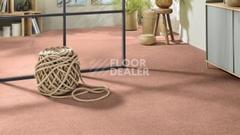 Vorwerk Superior 1065/Viola Vorwerk 8h49 фото 2 | FLOORDEALER