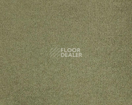 Ковролин Lano Lior 480 Barley фото 1 | FLOORDEALER