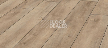 Ламинат Kronotex Exquisit 8мм d4982 Дуб Восточный Бежевый фото 1 | FLOORDEALER