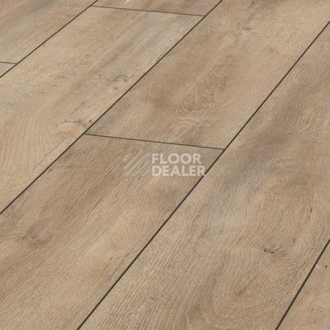 Ламинат Kronotex Exquisit 8мм d4982 Дуб Восточный Бежевый фото 1 | FLOORDEALER
