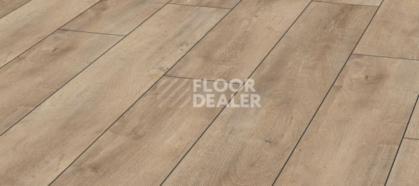 Ламинат Kronotex Exquisit 8мм d4982 Дуб Восточный Бежевый фото 1 | FLOORDEALER