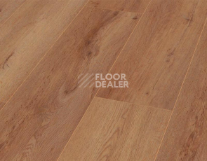 Ламинат My Floor Chalet 10мм m1026 Виверо Коричневый фото 1 | FLOORDEALER