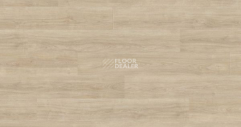 Ламинат Haro Tritty 100 4V ДУБ ЭЛЕГАНЗА КРЕМОВО-БЕЛЫЙ 541475 фото 1 | FLOORDEALER