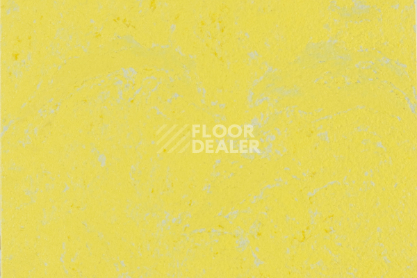 Линолеум Forbo Marmoleum Solid Concrete 3741-374135 yellow glow фото 1 | FLOORDEALER