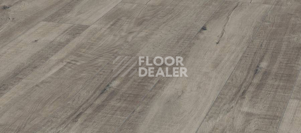 Ламинат Kronotex Exquisit 8мм d4786 Дуб Гала Серый фото 1 | FLOORDEALER