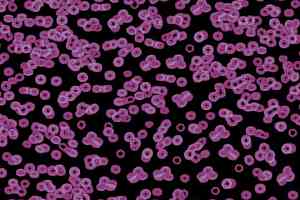 Ковролин Forbo Flotex Sottsass Bacteria 990104 фото  | FLOORDEALER