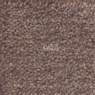 Ковролин Emphatic Beaulieu of America 56583 фото 1 | FLOORDEALER