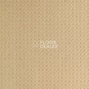 Ковролин Balsan Territoires Atrium 621 фото 1 | FLOORDEALER