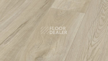 Ламинат My Floor Residence 10мм ML1030 Дуб Резиденц бежевый фото 1 | FLOORDEALER