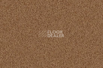 Ковролин Vorwerk Viola 7a53 фото 1 | FLOORDEALER