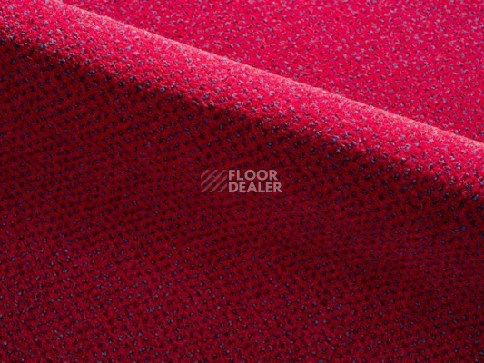 Ковролин Radici Verona 2401 фото 1 | FLOORDEALER