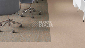 Desso Essence Pure ad 07 1510 фото 2 | FLOORDEALER