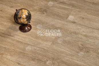 Alpine Floor Easy Line 3мм Камфора ЕСО 3-31 фото 2 | FLOORDEALER