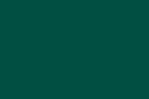 Линолеум Tarkett Omnisports R83 TH_FOREST_GREEN фото  | FLOORDEALER