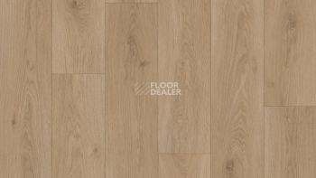 Линолеум Tarkett Sprint Pro Parade 2 фото 1 | FLOORDEALER