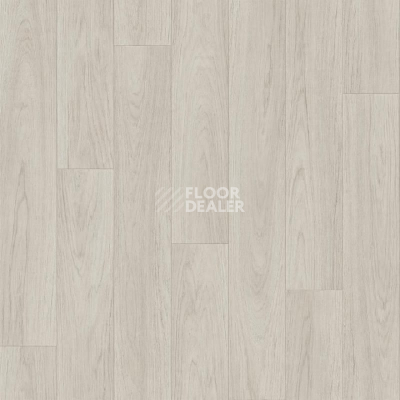 Линолеум Tarkett Sprint Pro CARNEY 1 фото 1 | FLOORDEALER