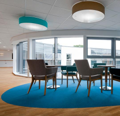 Forbo Flotex Vision Naturals 010036 American Oak фото 2 | FLOORDEALER