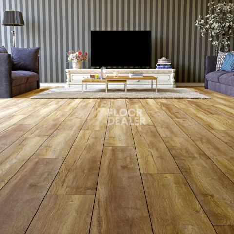 Alix Floor Regista 8мм D1873 Дуб Терра фото 4 | FLOORDEALER