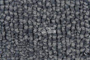 IVC Alternate 559 фото 2 | FLOORDEALER