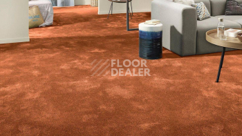 Vorwerk Superior 1064/Lyrica Vorwerk 2f34 фото 2 | FLOORDEALER