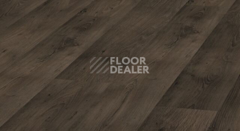 Ламинат Kronopol Aurum Sound 3345 Rock Oak фото 1 | FLOORDEALER