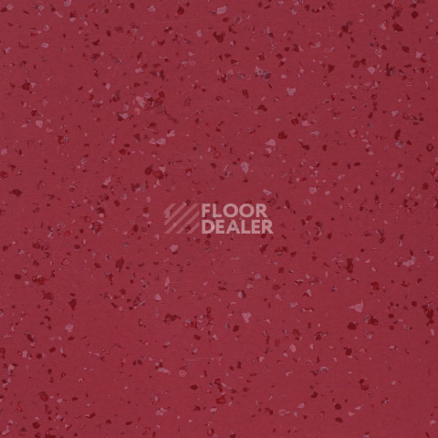 Линолеум DLV Flooring Perfect Safety 5675 фото 1 | FLOORDEALER