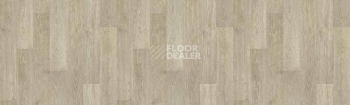 Линолеум Tarkett Taifun SAVOCA2 фото 1 | FLOORDEALER