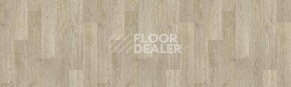 Линолеум Tarkett Taifun SAVOCA2 фото 1 | FLOORDEALER