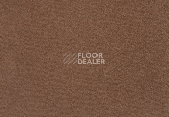 Ковролин Lano Zen 271 фото 1 | FLOORDEALER