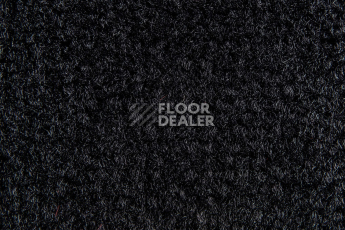 Balsan Les Best 999 фото 2 | FLOORDEALER