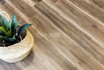 Alpine Floor Ultra 2мм ОРЕХ СВЕТЛЫЙ ECO 5-12 фото 2 | FLOORDEALER