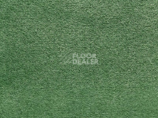 Ковролин Balta Wild Luxury Paddington 24 фото 1 | FLOORDEALER