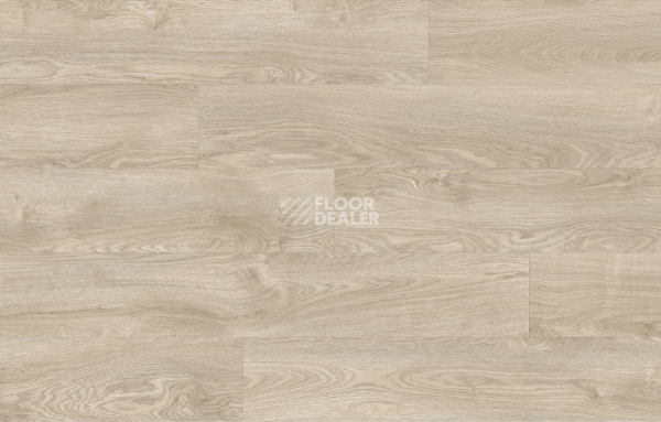 Кварцвиниловые полы Moduleo Next Acoustic дерево SILVERLEAF OAK 232 BO фото 4 | FLOORDEALER