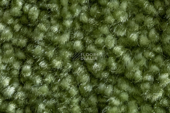 AW Masquerade Fedone 21 фото 2 | FLOORDEALER