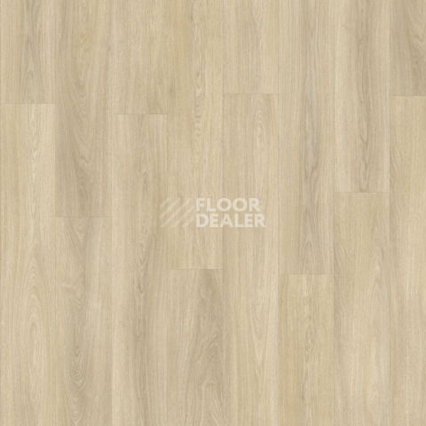 Moduleo Next дерево Noble Oak 246 фото 3 | FLOORDEALER