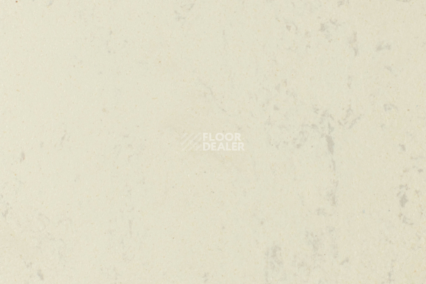 Линолеум Forbo Marmoleum Solid Concrete 3701-370135 moon фото 1 | FLOORDEALER