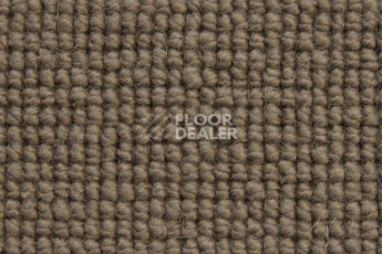 Ковролин Edel Burford Bridge 279 фото 1 | FLOORDEALER