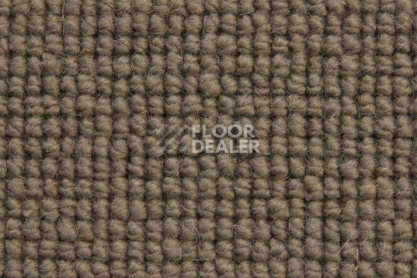 Ковролин Edel Burford Bridge 279 фото 1 | FLOORDEALER