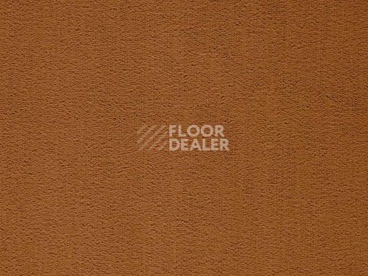 Ковролин Balta ITC Rossini 157 New фото 1 | FLOORDEALER