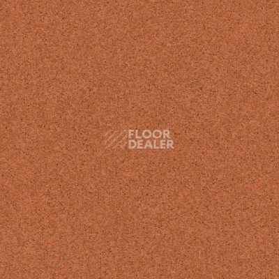 Линолеум Tarkett Primo Plus 305 фото 1 | FLOORDEALER