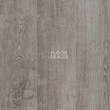 Parador Basic Plus 400 V 1426530 Дуб Светло-серый фото 2 | FLOORDEALER