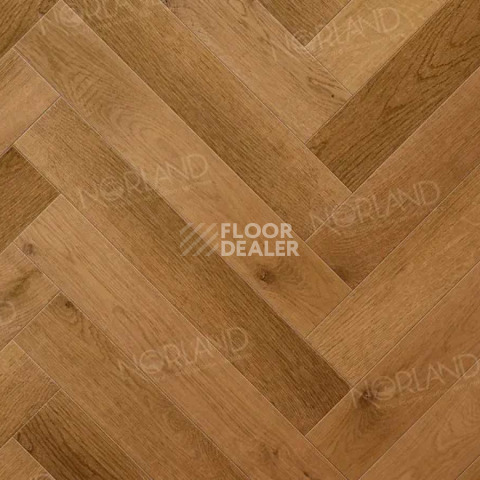 Norland Herringbone Elegant 8мм LF303-13 Дуб Помона фото 2 | FLOORDEALER